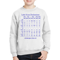 Latin Noun Declension Chart T Shirt For Classical Youth Sweatshirt | Artistshot