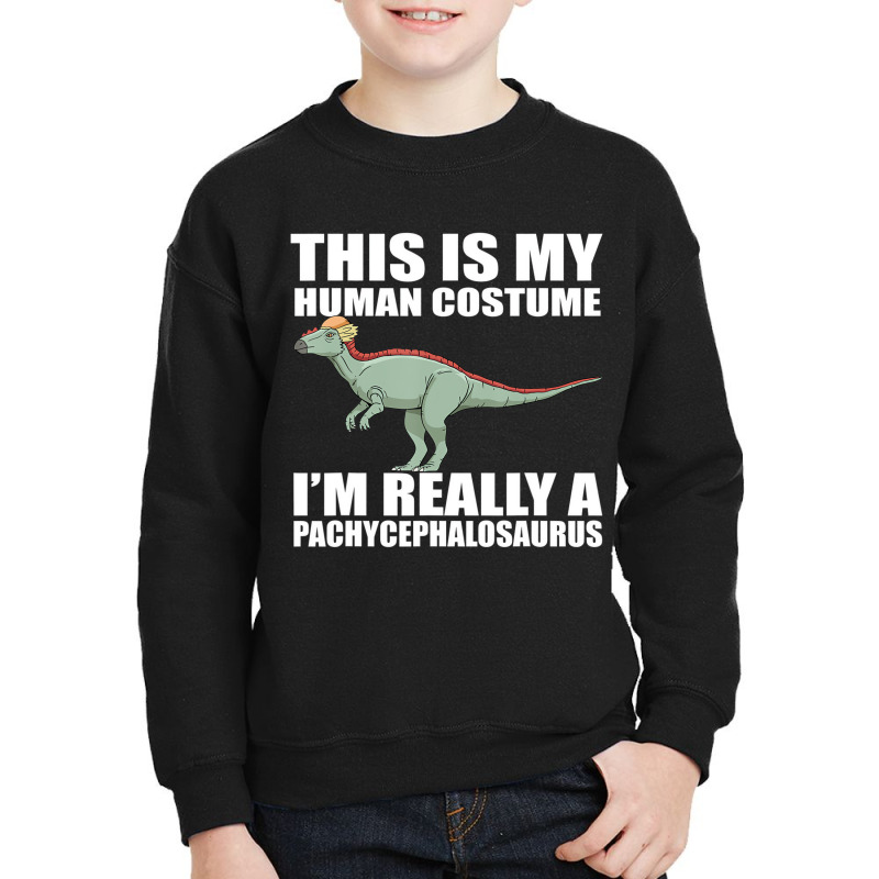 Pachycephalosaurus Costume Design Dinosaur T Shirt Youth Sweatshirt | Artistshot