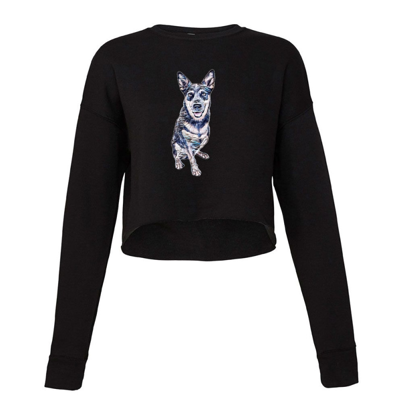 An Australian Cattle Dogs Thalated On W Cropped Sweater by Kemnabi | Artistshot