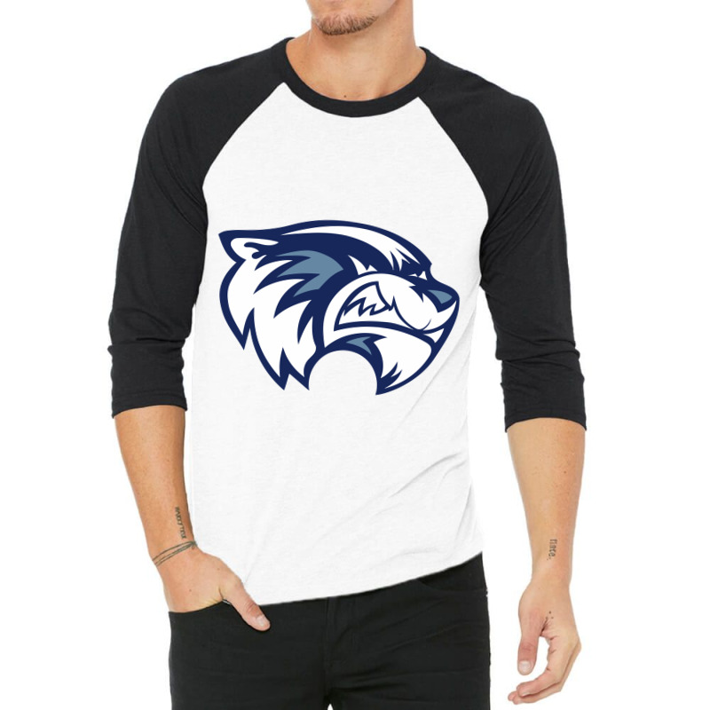 Ce Williams Middle School 3/4 Sleeve Shirt | Artistshot