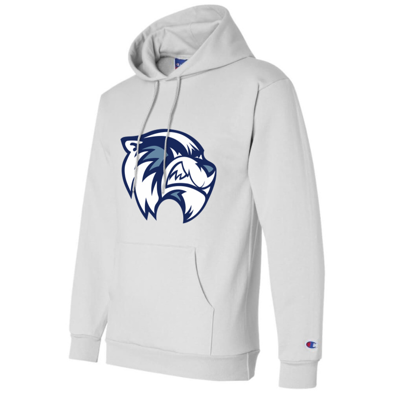 Ce Williams Middle School Champion Hoodie | Artistshot