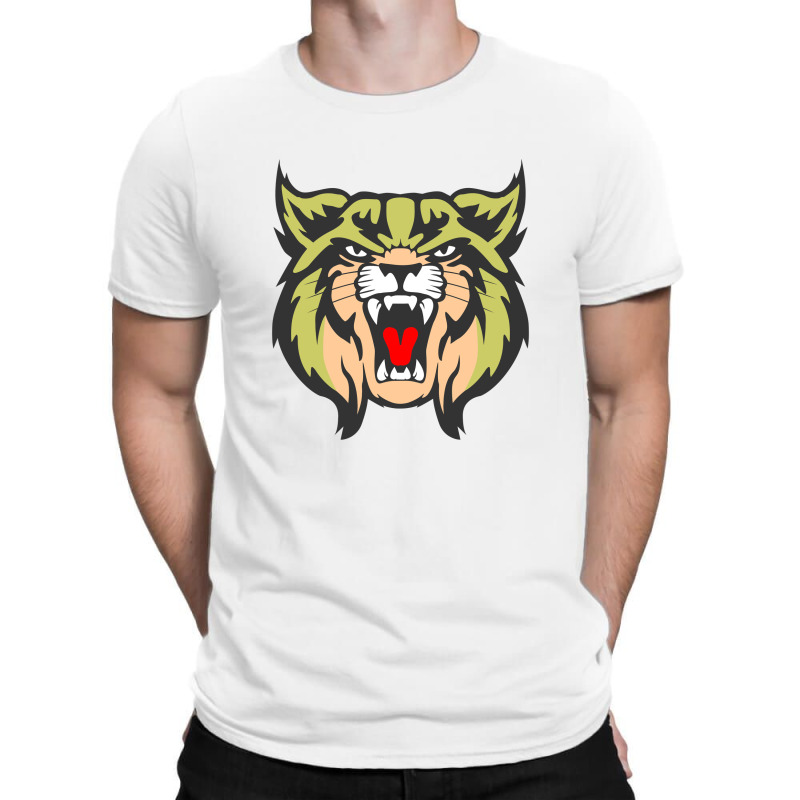 Brookings High School1 T-shirt | Artistshot