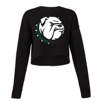 Canton High School Cropped Sweater | Artistshot