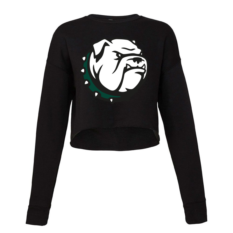 Canton High School Cropped Sweater | Artistshot