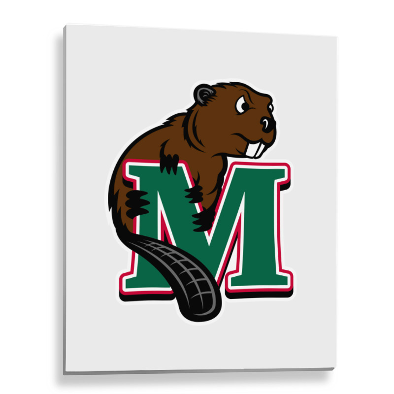 Minot State Beavers Metal Print Vertical | Artistshot