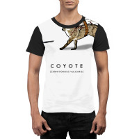 Coyote & Roadrunner 12 Graphic T-shirt | Artistshot