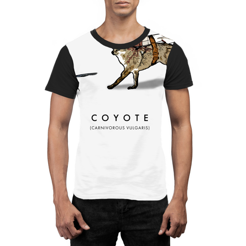 Coyote & Roadrunner 12 Graphic T-shirt | Artistshot