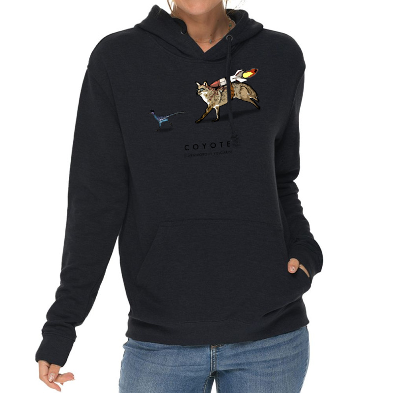 Coyote & Roadrunner 14 Lightweight Hoodie | Artistshot