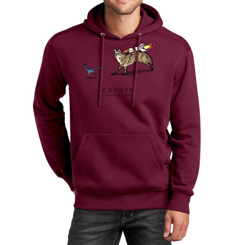 Coyote & Roadrunner 71 Unisex Hoodie | Artistshot