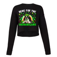 Here For The Shenanigans Patricks Day Boston Terri Cropped Sweater | Artistshot