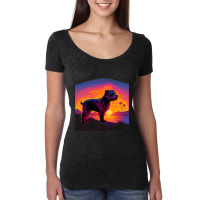 Retro Aesthetic Glen Of Imaal Terrier Dog 72 Women's Triblend Scoop T-shirt | Artistshot