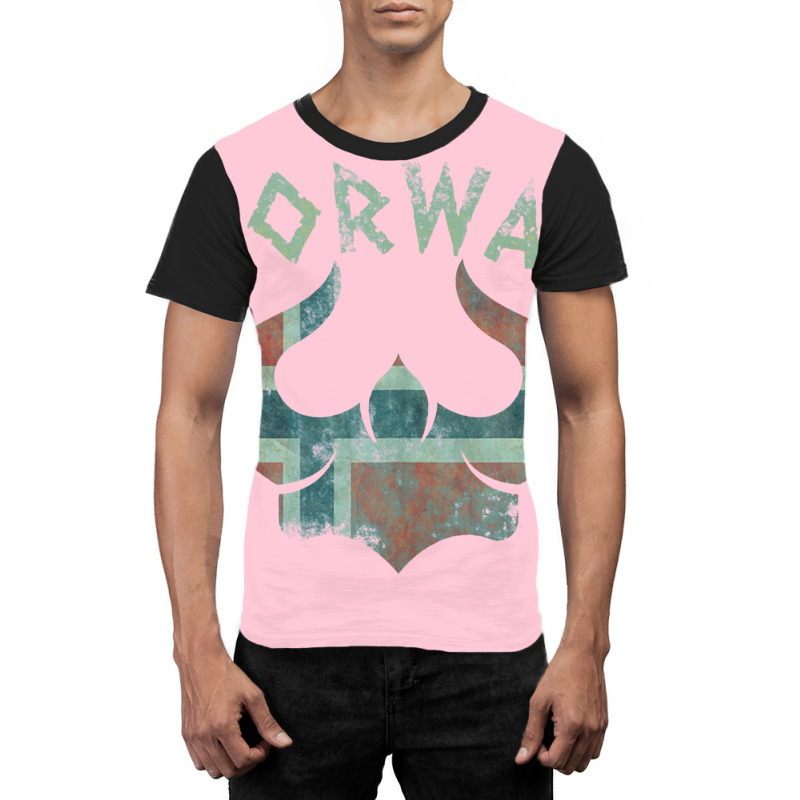 Norway Viking Helmet Scandinavian Norway Flag Graphic T-shirt | Artistshot