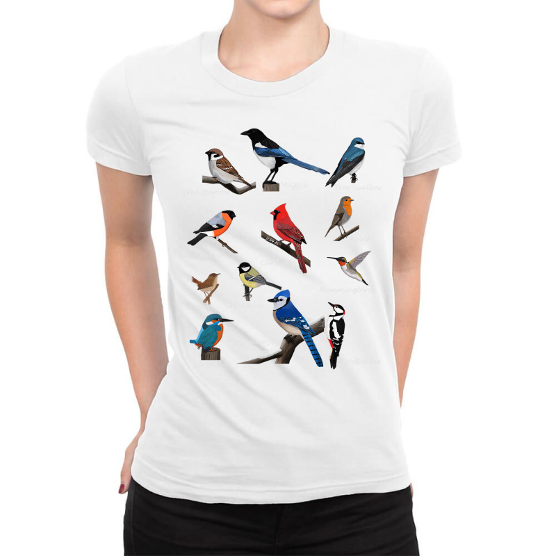 Birds Cardinal Blue Jay Hummingbird Ornithologist Ladies Fitted T-Shirt by qadina | Artistshot