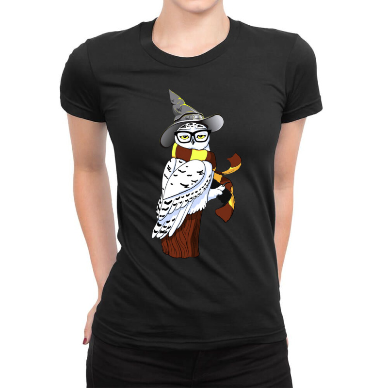 An Owl In A Hat And Stripey Scarf Ladies Fitted T-Shirt by alfanomearsb | Artistshot