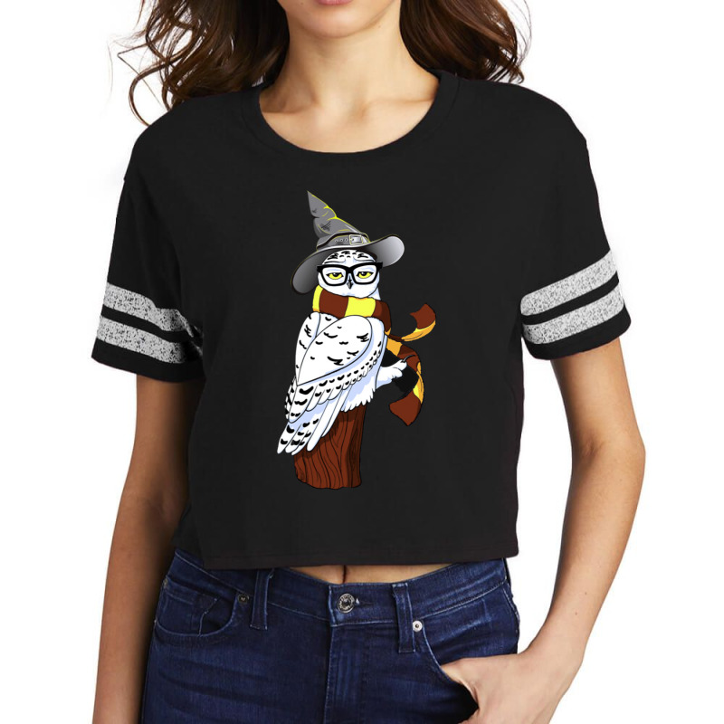 An Owl In A Hat And Stripey Scarf Scorecard Crop Tee by alfanomearsb | Artistshot