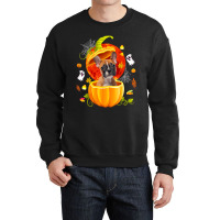 Boston Terrier Witch Pumpkin Halloween Dog Lover F Crewneck Sweatshirt | Artistshot