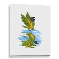 Parrot & Dragon Reflection I Senegal Parrot T Shir Metal Print Vertical | Artistshot