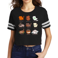 Cats Crossover 16 Scorecard Crop Tee | Artistshot