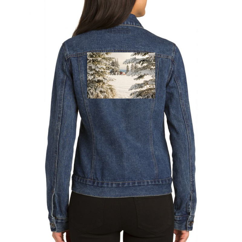 Classic Red Barn And Snow Scene Ladies Denim Jacket by sekelneald | Artistshot