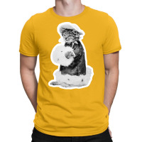 Cat Woman  More Like A Lady T-shirt | Artistshot