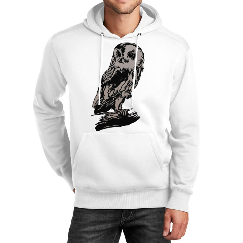 Dark Owl Unisex Hoodie by didwaycarw | Artistshot