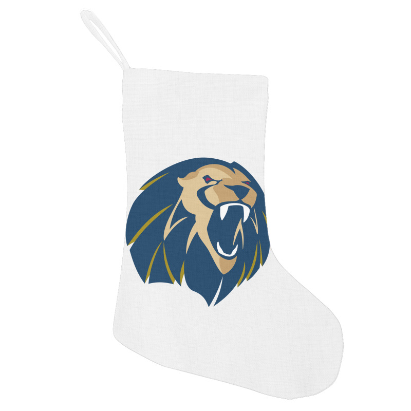 The Lions Holiday Stocking | Artistshot