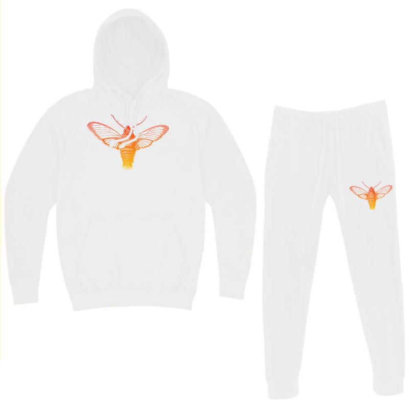 Colorful Cicada Music Hoodie & Jogger set by bebbahctinb | Artistshot