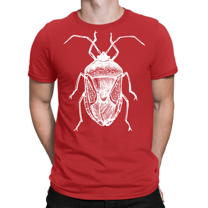 Entomology Insects Nostalgia T-shirt | Artistshot