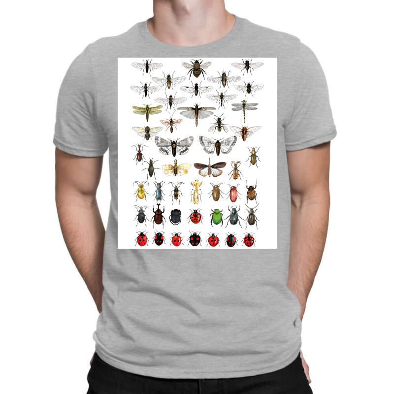 Entomology Illustrations Green T-shirt | Artistshot