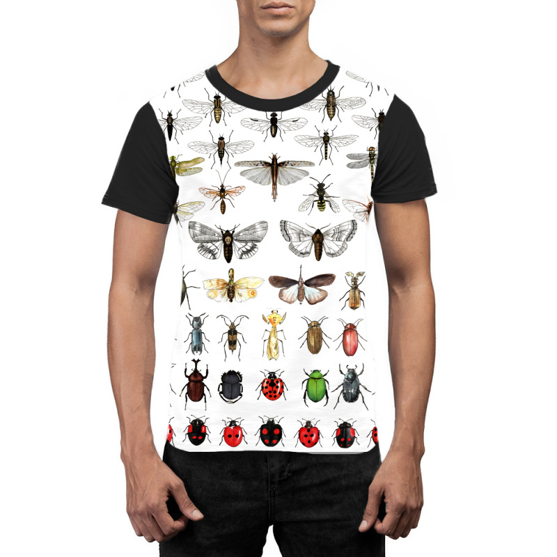 Entomology Illustrations Green Graphic T-shirt | Artistshot