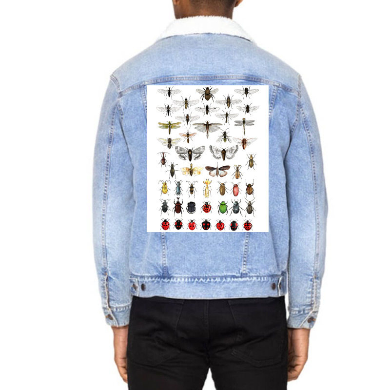 Entomology Illustrations Green Unisex Sherpa-lined Denim Jacket | Artistshot