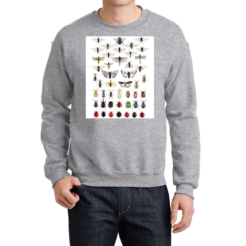 Entomology Illustrations Green Crewneck Sweatshirt | Artistshot