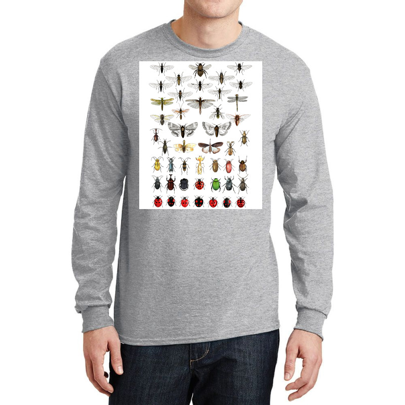 Entomology Illustrations Green Long Sleeve Shirts | Artistshot