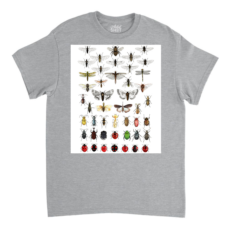 Entomology Illustrations Green Classic T-shirt | Artistshot