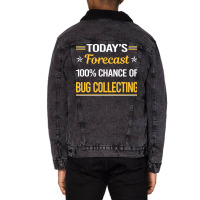 Today Forecast Bug Collecting Insect Insects Bugs Unisex Sherpa-lined Denim Jacket | Artistshot