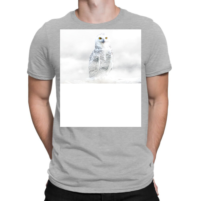 Owl Bird Animal Wildlife Forest Nature Flight Digi T-shirt | Artistshot