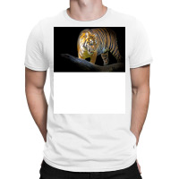 Tiger Animal Feline Wild Life Jungle Nature Freedo T-shirt | Artistshot