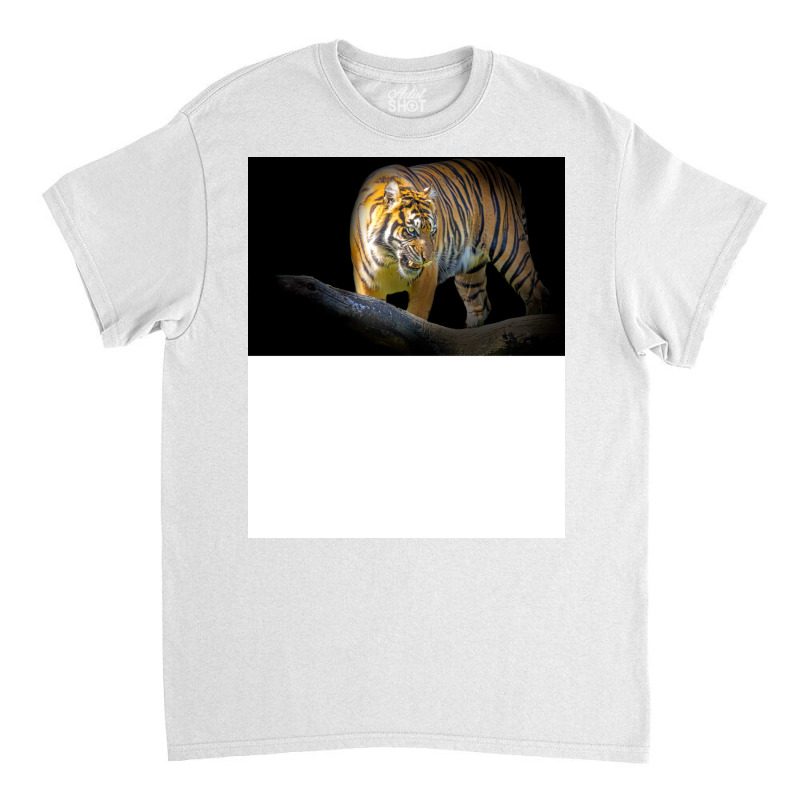 Tiger Animal Feline Wild Life Jungle Nature Freedo Classic T-shirt | Artistshot