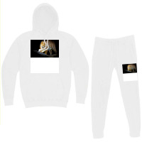 Tiger Animal Feline Wild Life Jungle Nature Freedo Hoodie & Jogger Set | Artistshot