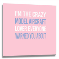 Funny Crazy Lover Model Aircraft 80s Metal Print Square | Artistshot