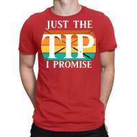 Just The Tip I Promise Funny Billiards 2 T-shirt | Artistshot