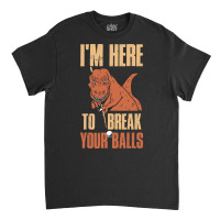 Im Here To Break Your Balls Funny Billiards Gift 1 Classic T-shirt | Artistshot