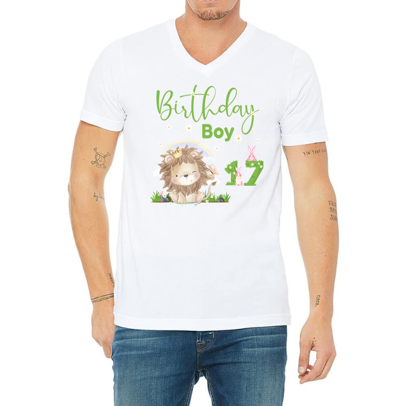 Cute Lion 17th Birthday Boy Funny V-neck Tee | Artistshot