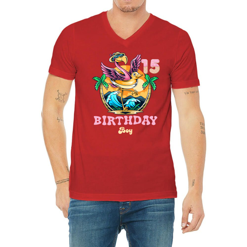 Cute Flamingo 15th Birthday Boy Vintage V-neck Tee | Artistshot