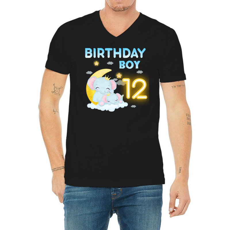 Cute Elephant 12th Birthday Boy Hipster V-neck Tee | Artistshot