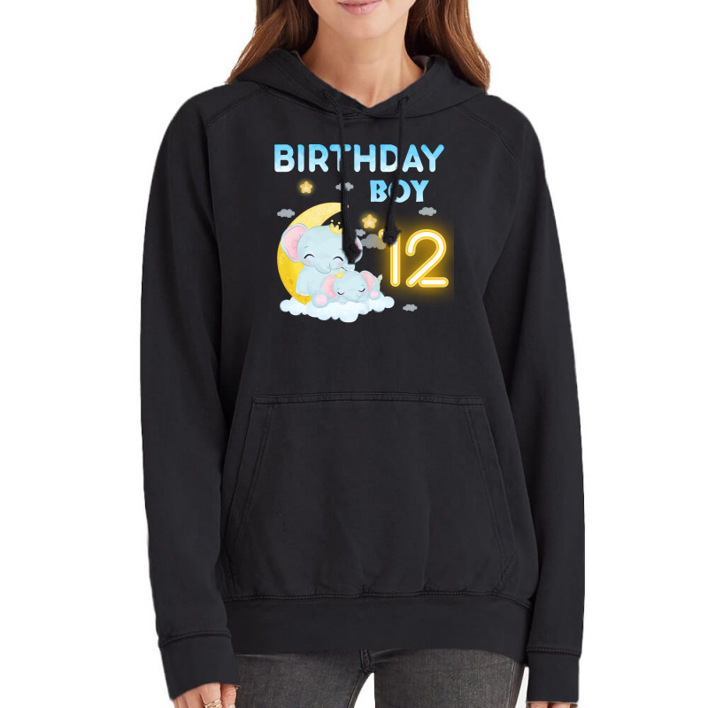 Cute Elephant 12th Birthday Boy Hipster Vintage Hoodie | Artistshot