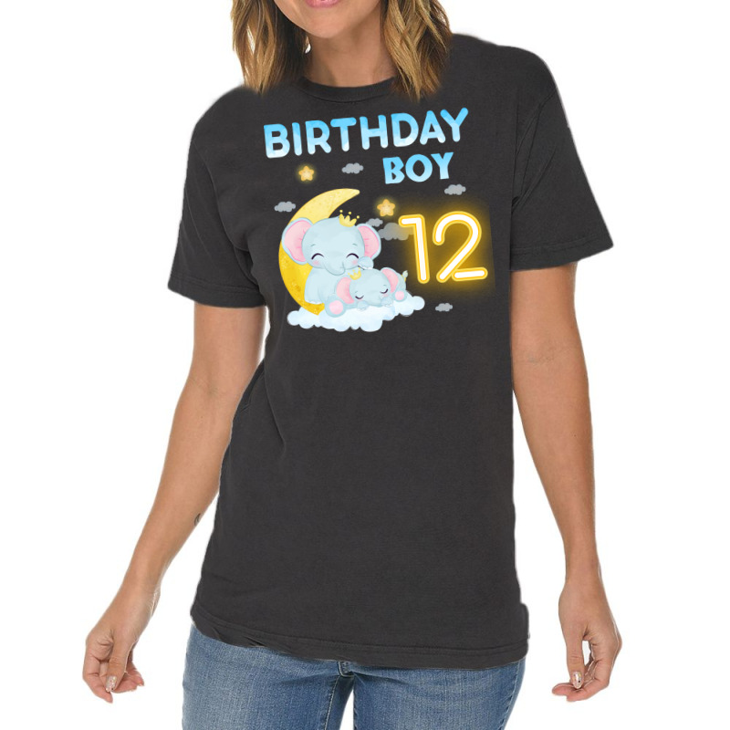 Cute Elephant 12th Birthday Boy Hipster Vintage T-shirt | Artistshot