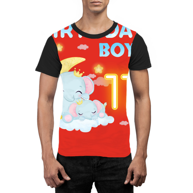 Cute Elephant 17th Birthday Boy Red Graphic T-shirt | Artistshot