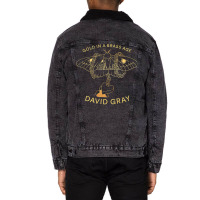 New David Gray In A Tour 2019 Unisex Sherpa-lined Denim Jacket | Artistshot