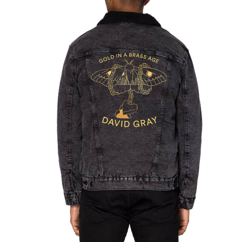 New David Gray In A Tour 2019 Unisex Sherpa-Lined Denim Jacket by deurinnipahy | Artistshot